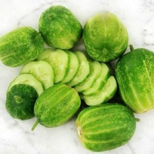 Cucurmis sativa – Cucumber – Richmond Green seeds x 25