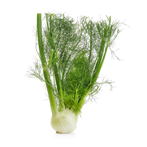 Organic Fennel