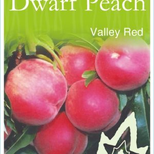 Peach – Valley Red