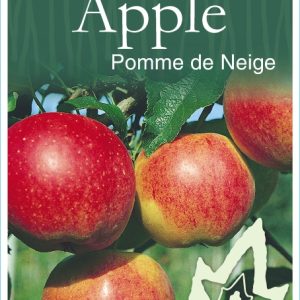 Apple – Pomme de Neige